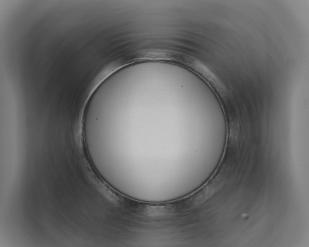 X0000112181378200908211451