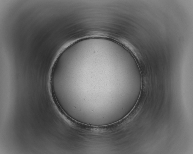 X0000112181379200908211451