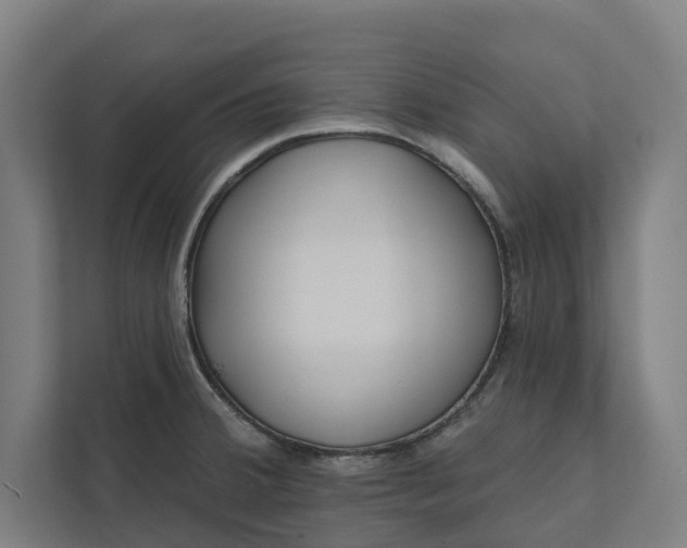 X0000112181380200908211451