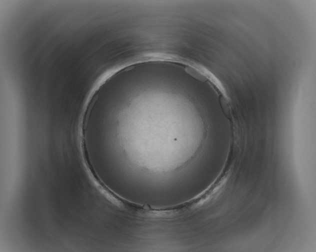 X0000112181381200908211451