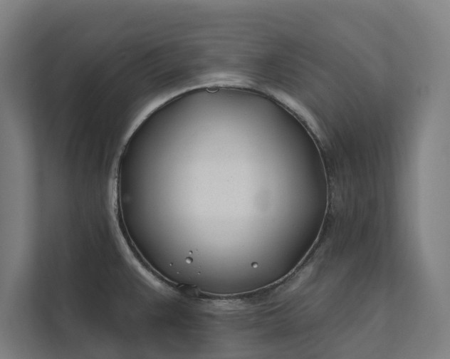 X0000112181383200908211451