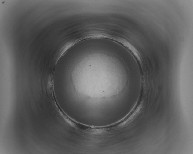 X0000112181385200908211451