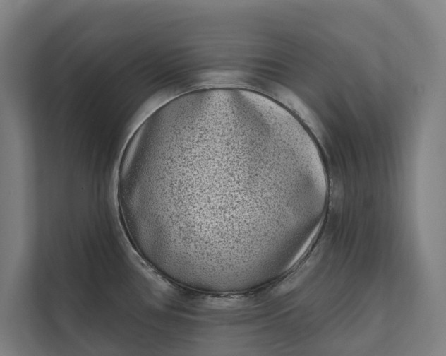 X0000112181386200908211451