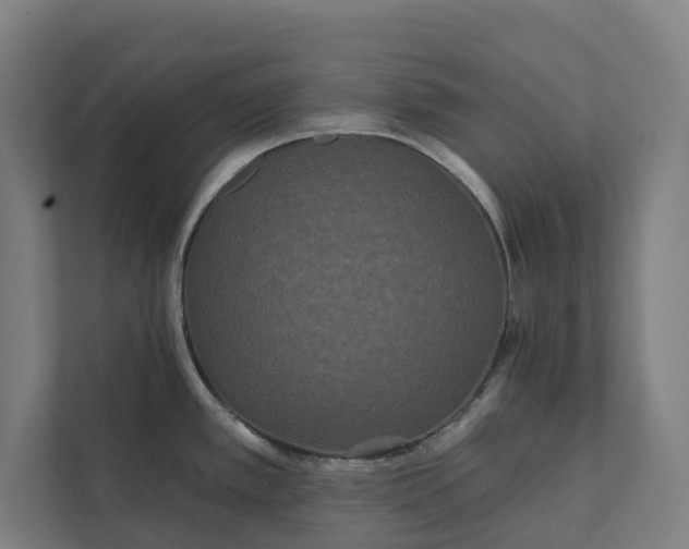 X0000112181389200908211451