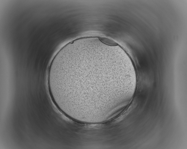 X0000112181390200908211451