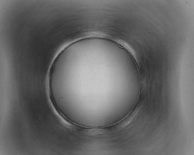 X0000112181391200908211451