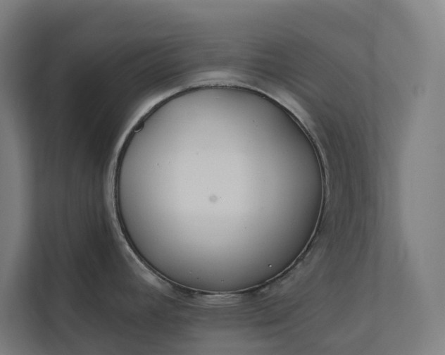 X0000112181392200908211451