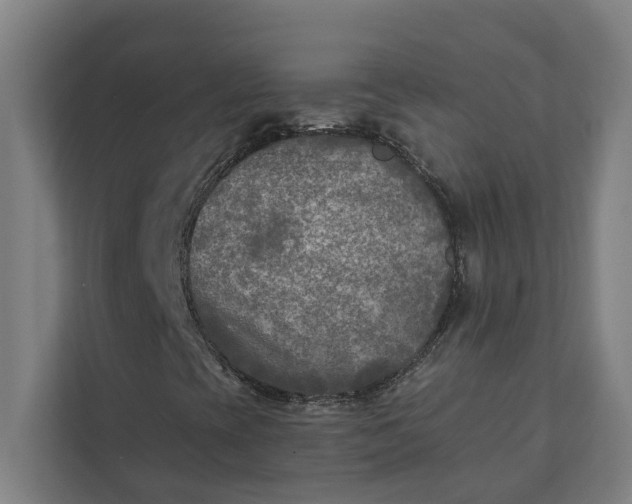 X0000112181393200908211450