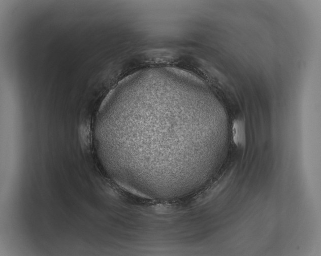 X0000112181395200908211450