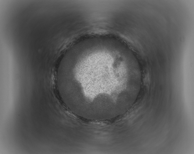 X0000112181397200908211450