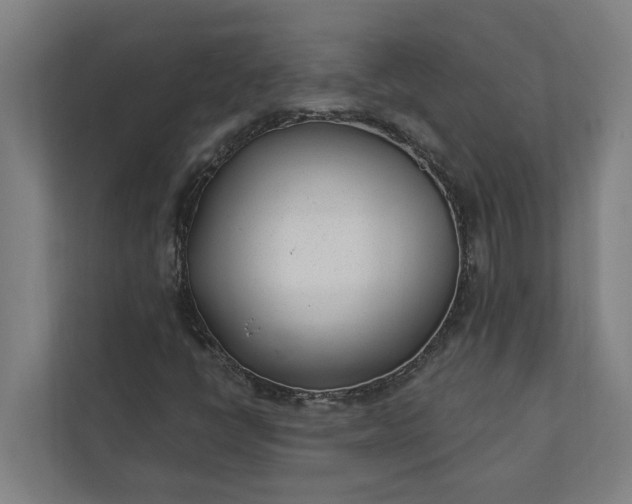 X0000112181398200908211450