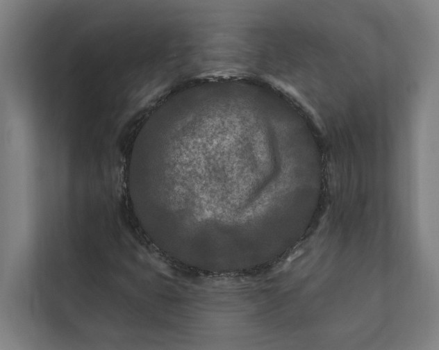 X0000112181399200908211450