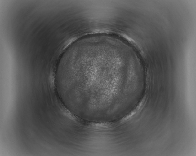 X0000112181401200908211450