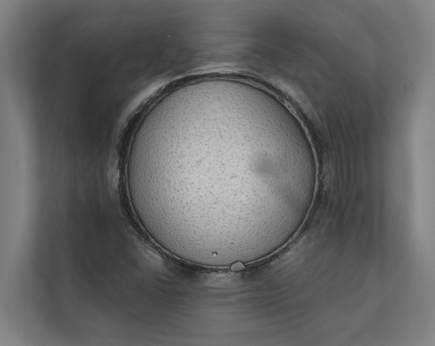 X0000112181406200908211451