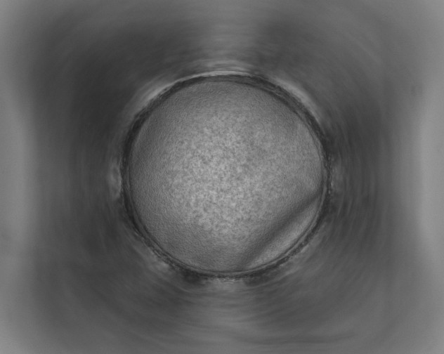 X0000112181407200908211451