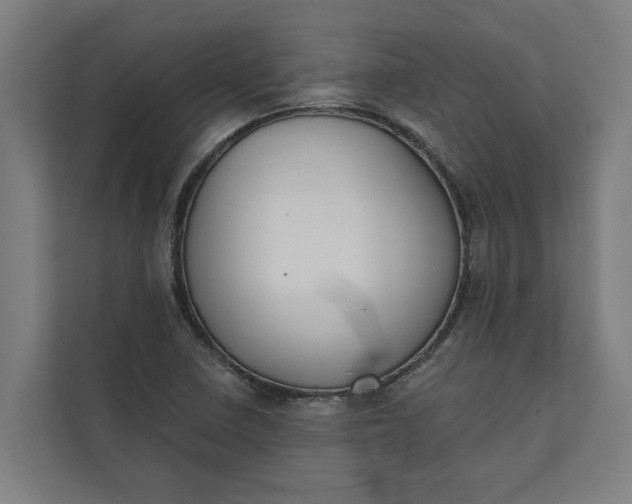 X0000112181410200908211451