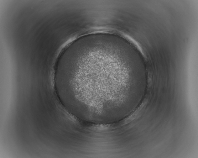 X0000112181411200908211451