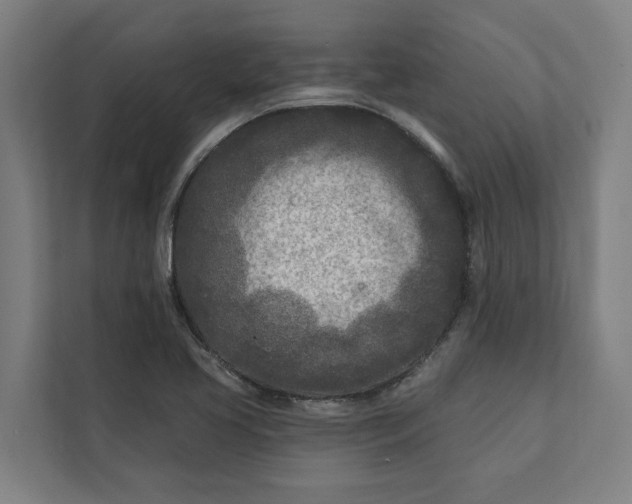 X0000112181413200908211451