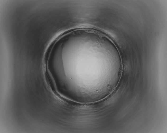 X0000112181414200908211451