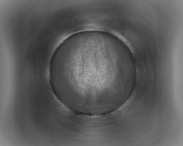 X0000112181415200908211451