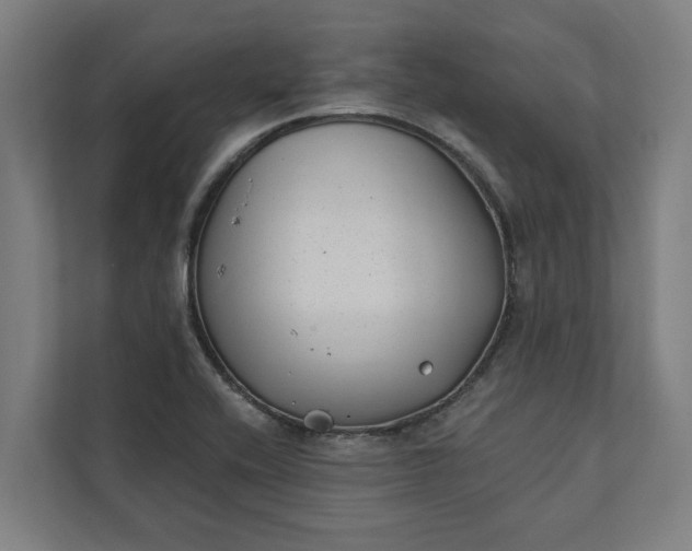 X0000112181416200908211451