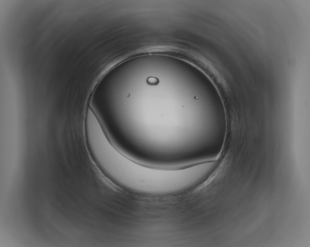 X0000112181417200908211451