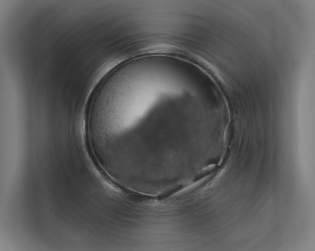 X0000112181418200908211451