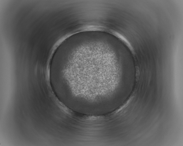 X0000112181419200908211451