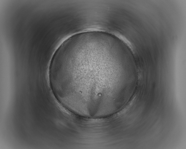 X0000112181423200908211451