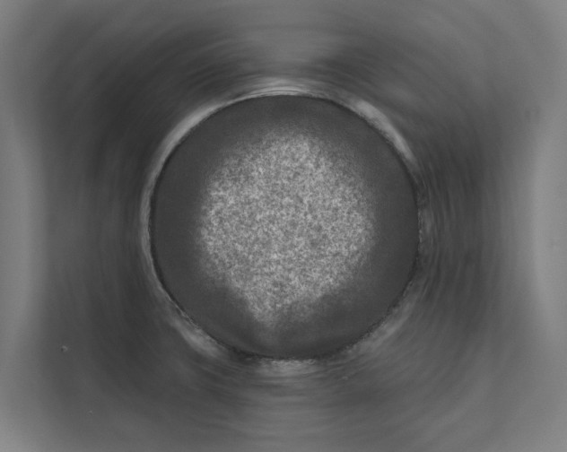 X0000112181427200908211451