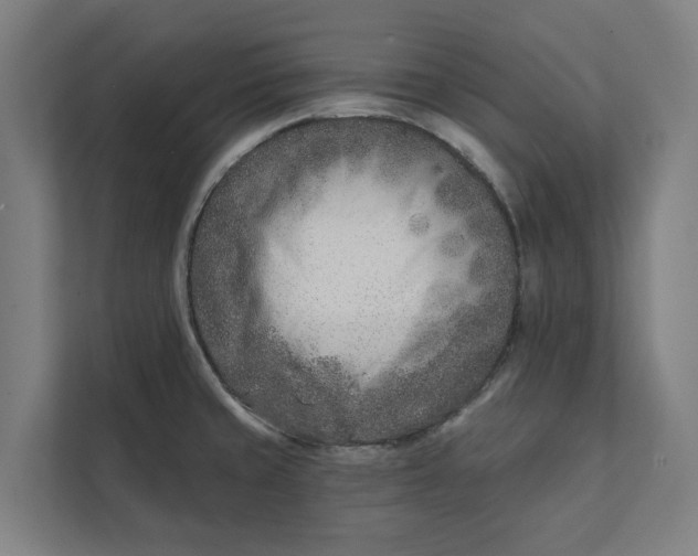 X0000112181429200908211451