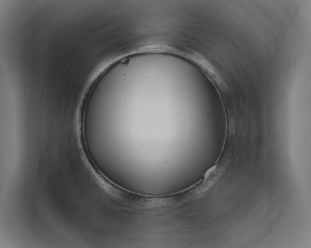 X0000112181430200908211451