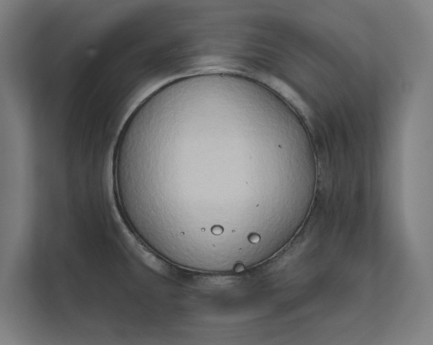 X0000112181431200908211451