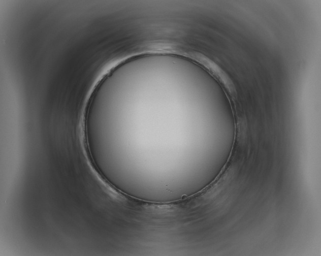 X0000112181432200908211451