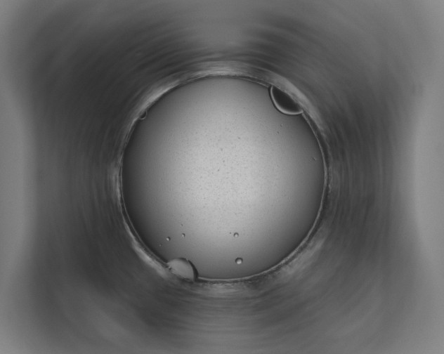 X0000112181433200908211451