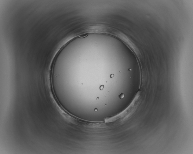 X0000112181434200908211451