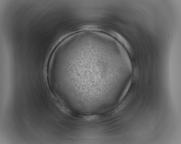 X0000112181435200908211451