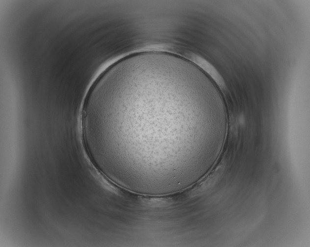 X0000112181436200908211451