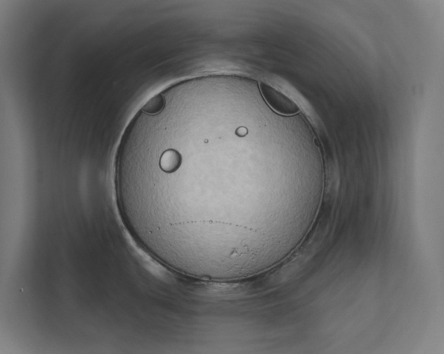 X0000112181439200908211451