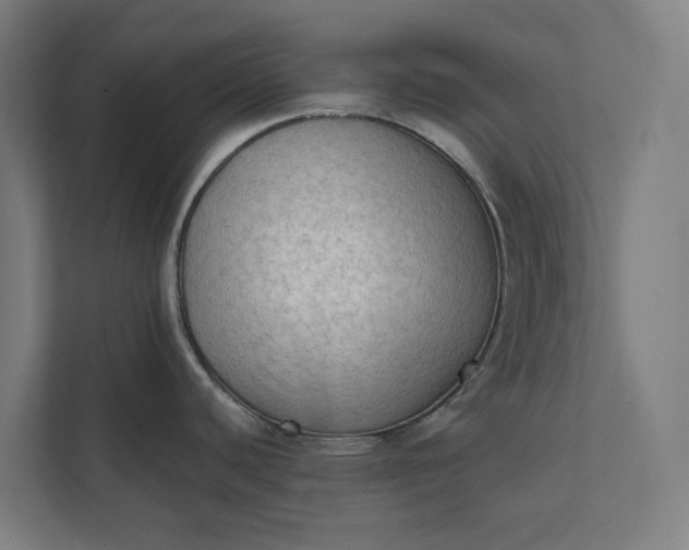 X0000112181440200908211451