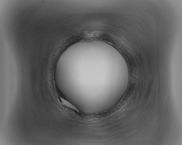 X0000112181441200908211450