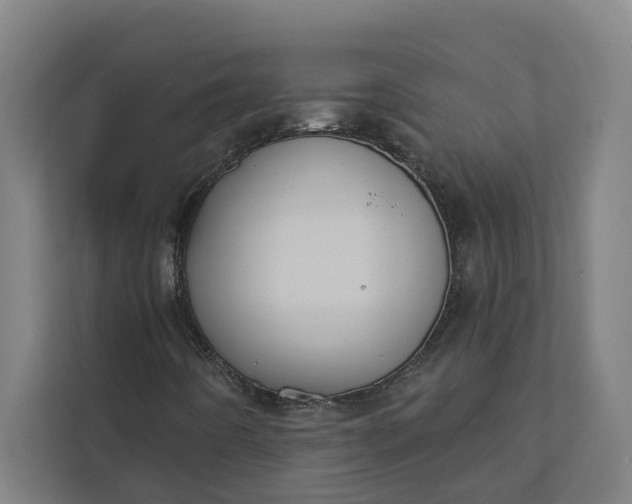 X0000112181442200908211450