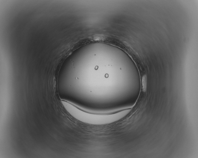 X0000112181443200908211450