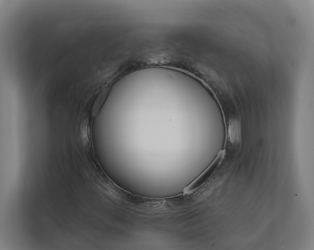 X0000112181444200908211450