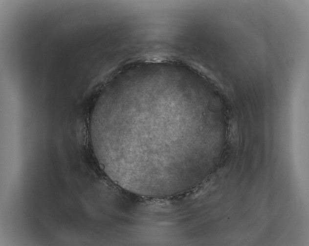 X0000112181446200908211450