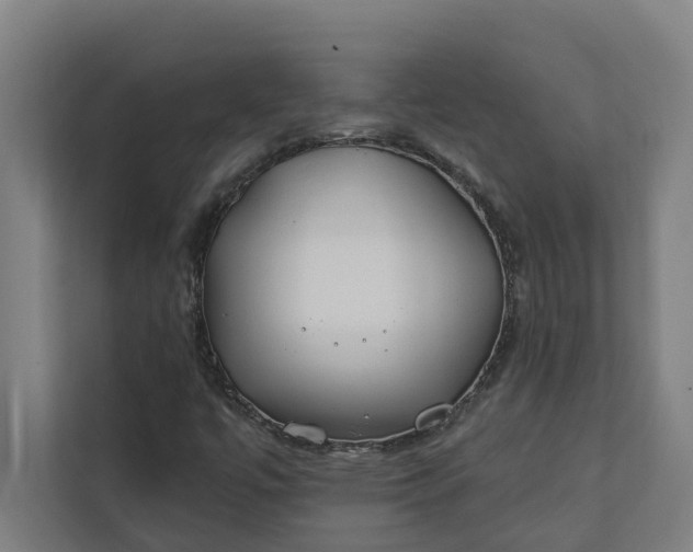 X0000112181447200908211450