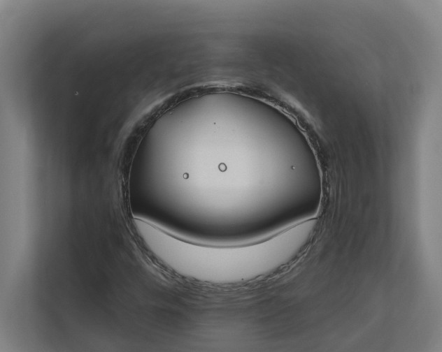 X0000112181448200908211450