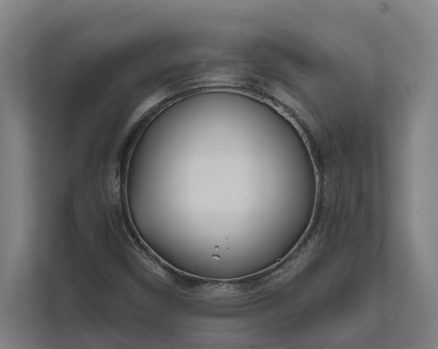 X0000112181450200908211450