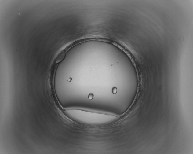 X0000112181452200908211450