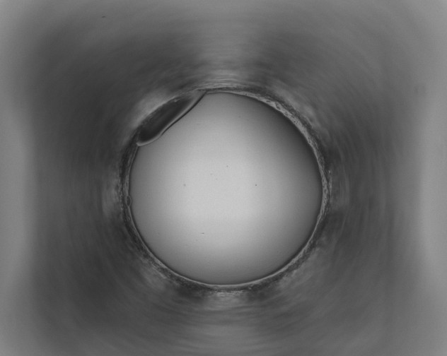 X0000112181453200908211450